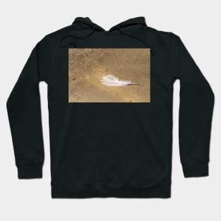 White Feather on Gold Dust Hoodie